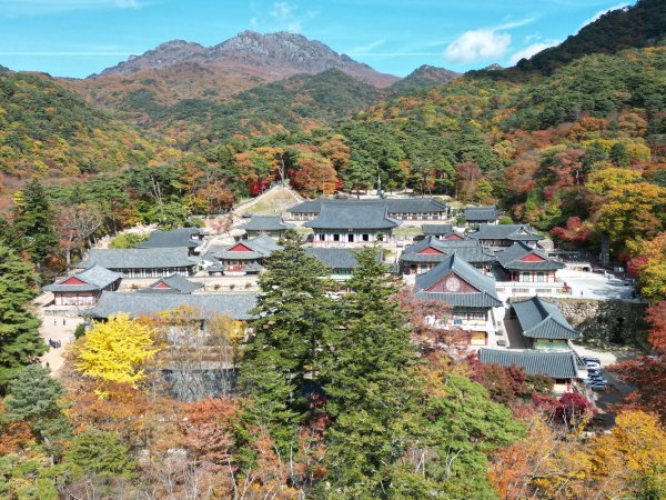 천년보고千年寶庫[寶物藏], 해인사 이미지